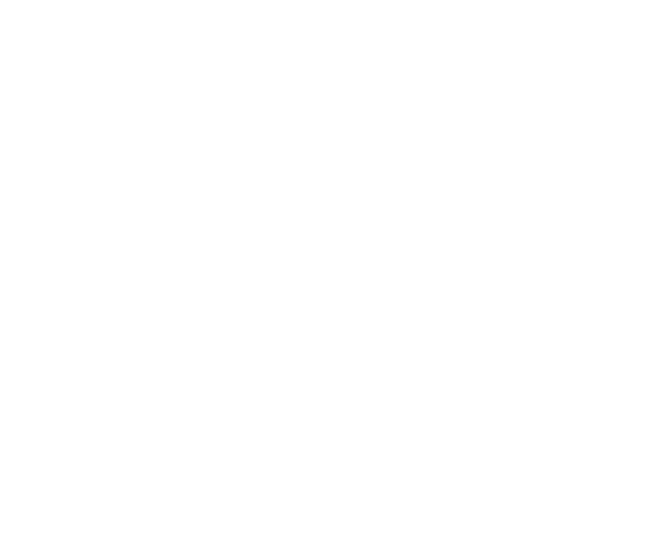 Capital Activo